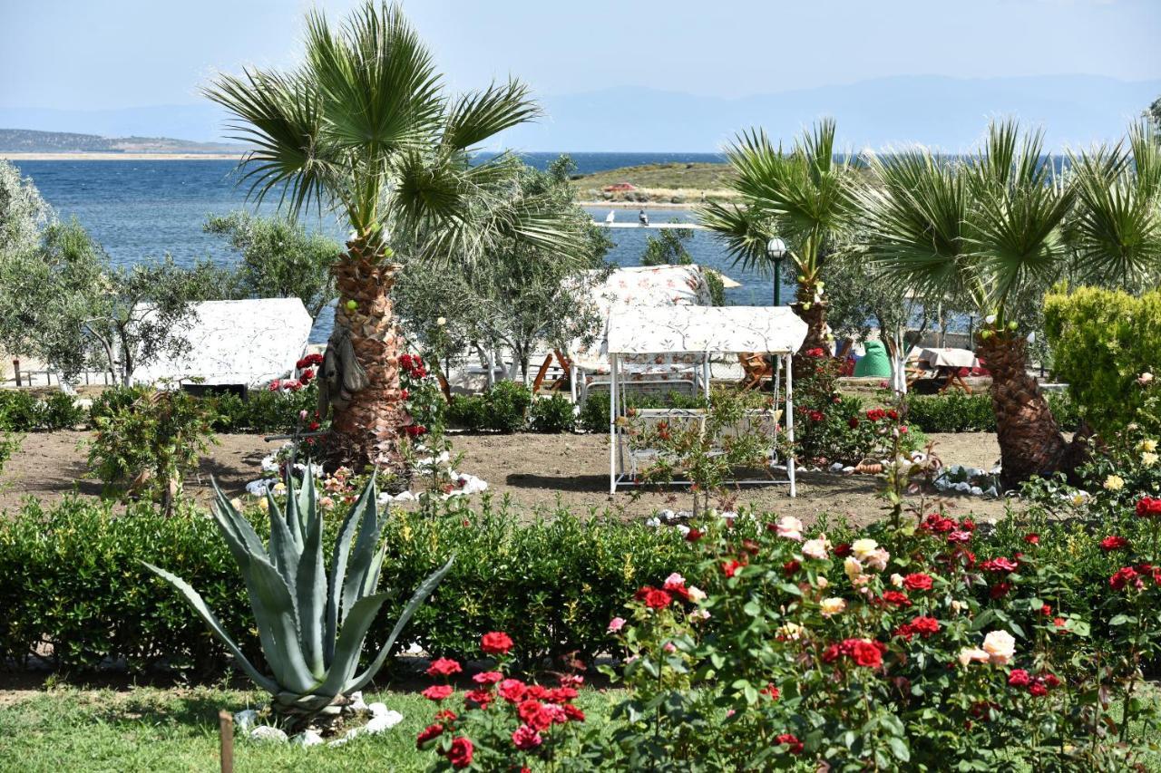 Cunda Asiyan Otel Ayvalı Buitenkant foto